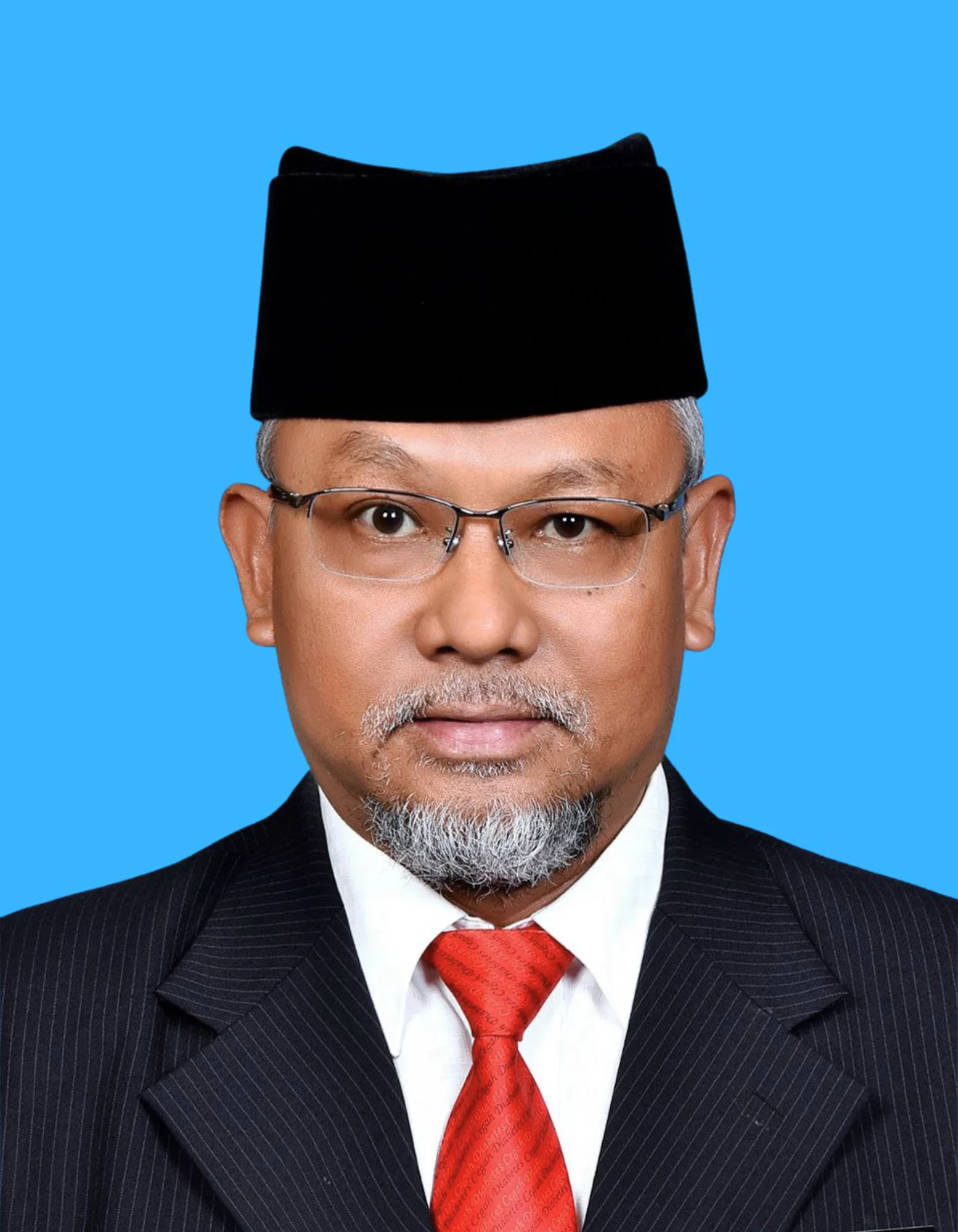 HISHAMUDDIN BIN HASSAN